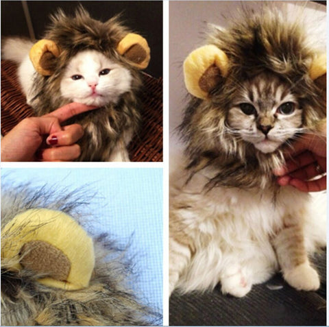Cat Cosplay Lion Mane Wig