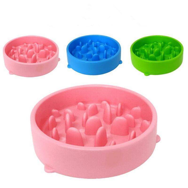 Cat Slow Food Feed Bowl
