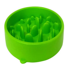 Cat Slow Food Feed Bowl
