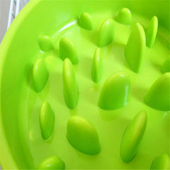 Cat Slow Food Feed Bowl