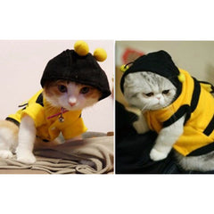 Cat Clothes Cute Bee