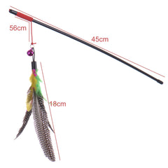 Newly Design Bird Feather Toy