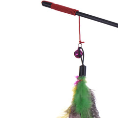 Newly Design Bird Feather Toy
