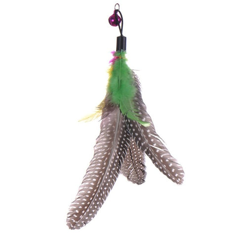 Newly Design Bird Feather Toy