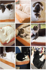 Design Bread Toast Cat Bed Mat