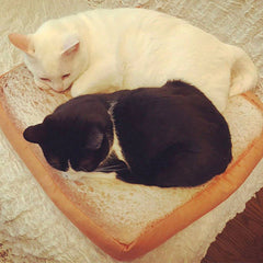 Design Bread Toast Cat Bed Mat