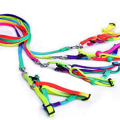 Breakaway Rainbow Nylon Harness LEash