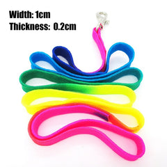 Breakaway Rainbow Nylon Harness LEash