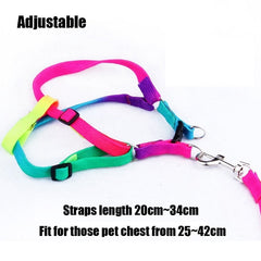 Breakaway Rainbow Nylon Harness LEash