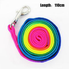 Breakaway Rainbow Nylon Harness LEash