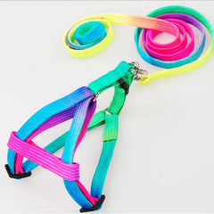 Breakaway Rainbow Nylon Harness LEash