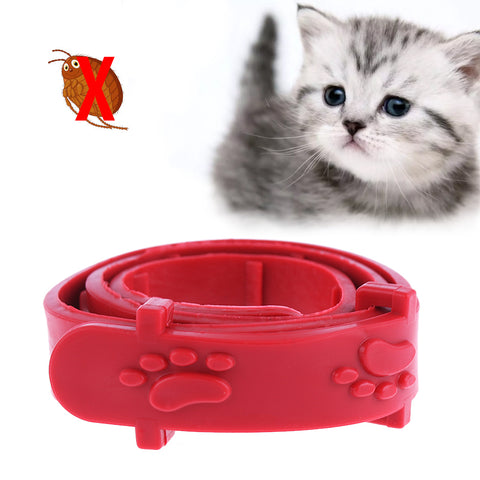 Tick Remedy Cat Collar