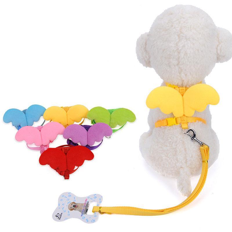 Cat Leash Cute Angel Wing