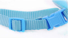 Cat Leash Cute Angel Wing