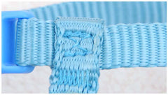 Cat Leash Cute Angel Wing