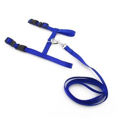 Cat Kitten Halter Set