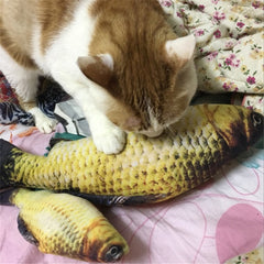 Cat Fish Toy