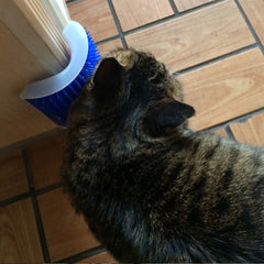 Corner Pet Brush Comb