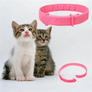 Unique Novelty Cat Collar