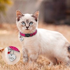 Reflective Kitten Collar