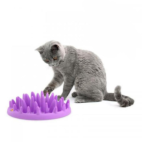 Non Slip Feeder Bowl