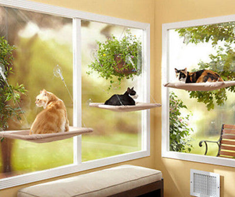 Window Mounted Bed Sofa Mat