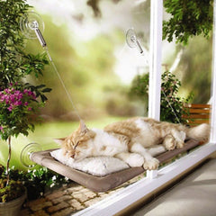 Window Mounted Bed Sofa Mat