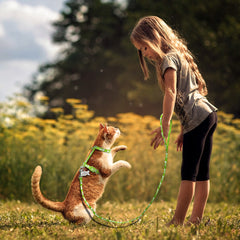 Anti Lost Harness & Leash