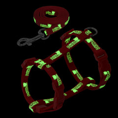 Anti Lost Harness & Leash
