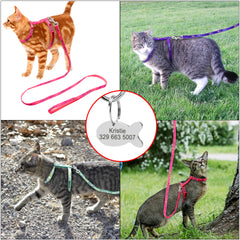 Harness Leash Lead Set