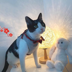 Cat Strap Leash Traction Belt