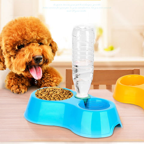 Cat Plastic Feeding Bowl