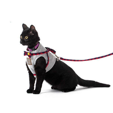 Cat Strap Leash Traction Belt