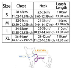 Elegant Cute Jacket Leash