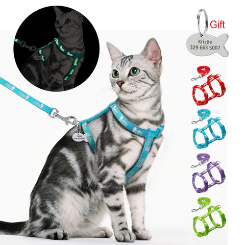 Anti Lost Harness & Leash