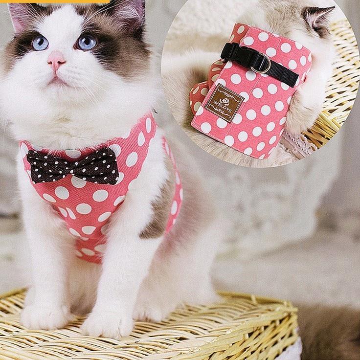 Safety Elegant Cat Set