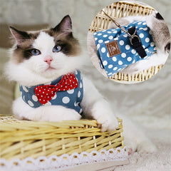 Safety Elegant Cat Set