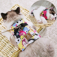 Safety Elegant Cat Set