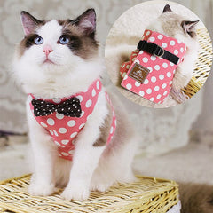 Safety Elegant Cat Set
