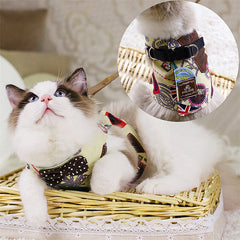 Safety Elegant Cat Set
