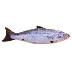 Cat Fish Toy