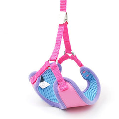 Elegant Sweet Style Harness & Leash