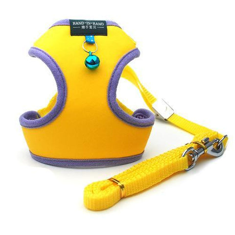 Elegant Sweet Style Harness & Leash