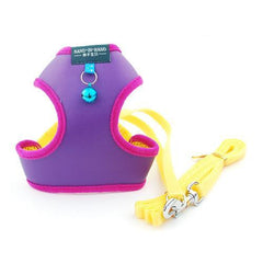 Elegant Sweet Style Harness & Leash