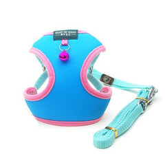 Elegant Sweet Style Harness & Leash