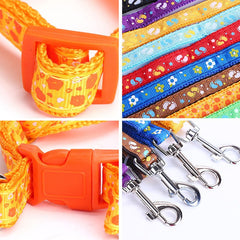 Adjustable Nylon Cat Harness & Leash