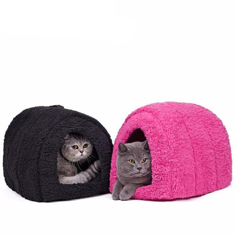 Lovely Kitten Home