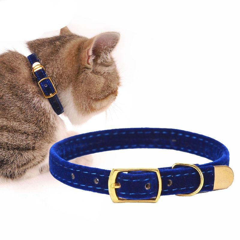 Flocking Cat Collar