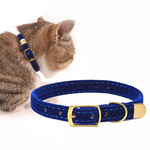Flocking Cat Collar
