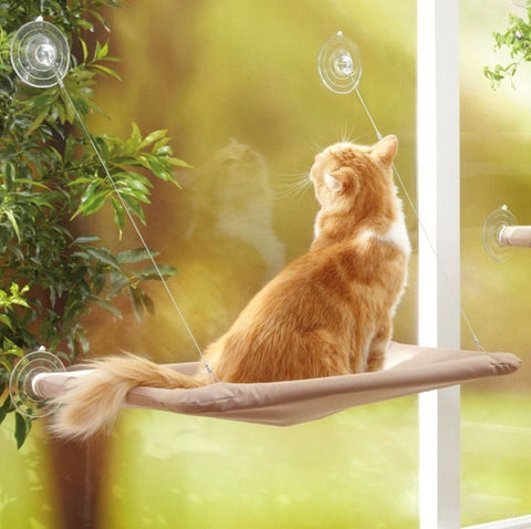 Hanging Cat Bed